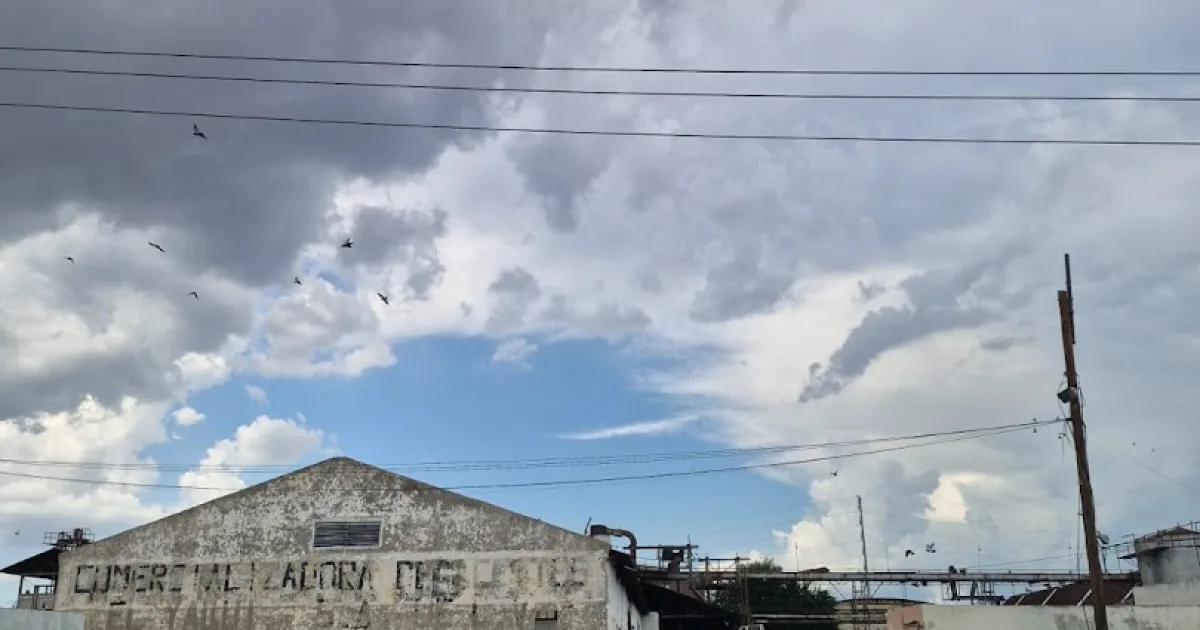 COMERCIALIZADORA DE ACEITES S.A