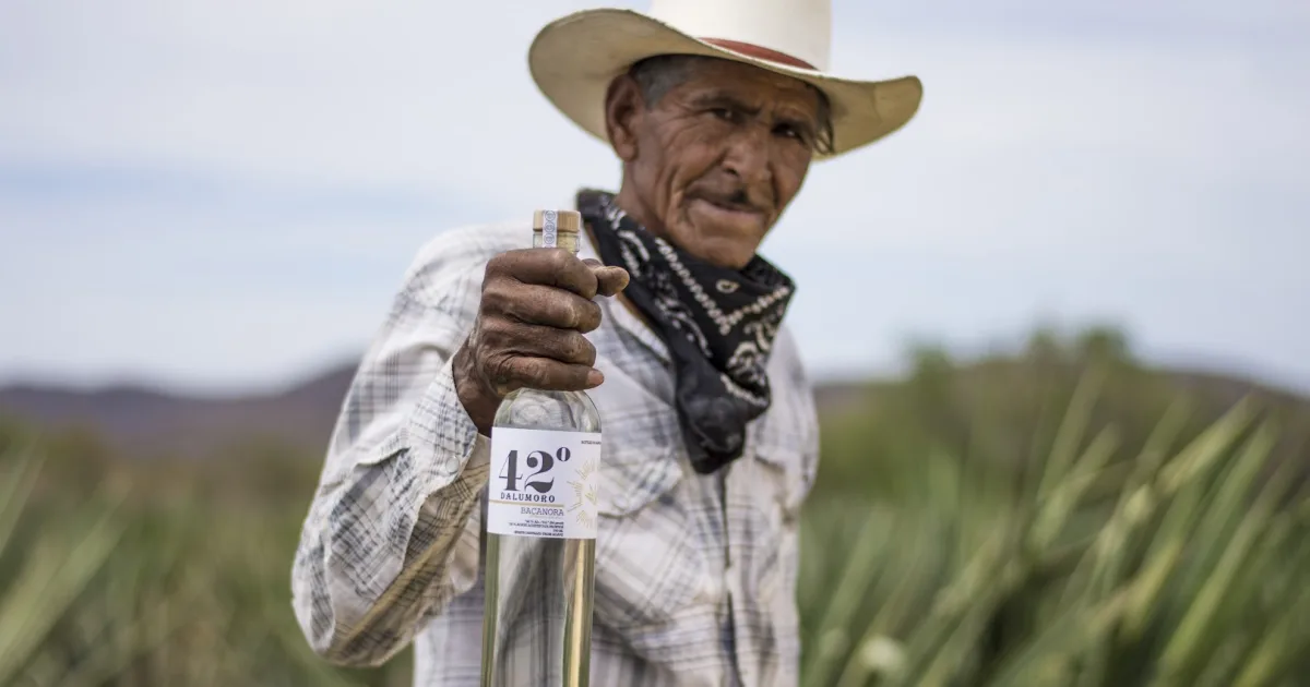 Dalumoro, Bacanora 42