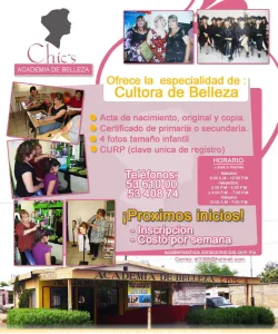ACADEMIA CHICS