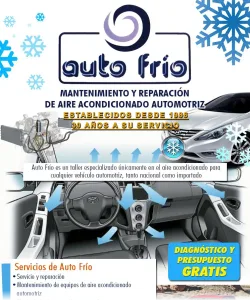 Auto Frio