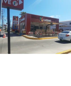 CAFFENIO Constitución