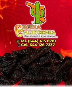 Cecina California