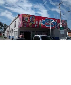 CENTRO DULCERO 300