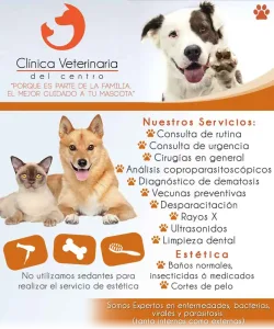 Clínica Veterinaria Del Centro