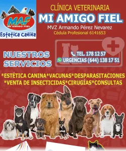 CLINICA VETERINARIA MI AMIGO FIEL