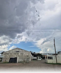 COMERCIALIZADORA DE ACEITES S.A
