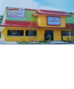 Comida China y sushis Danna’s