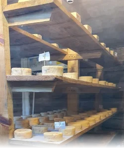 Finca Marquez