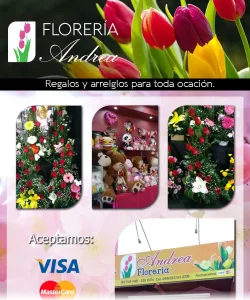 FLORERIA ANDREA