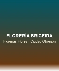 Florería Briceida