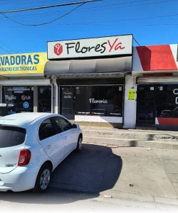 Flores Ya