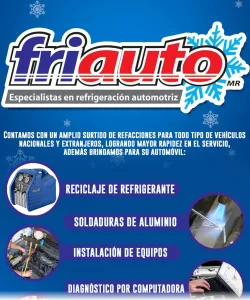 FRIAUTO