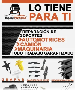 Hules y Pinturas de Obregón
