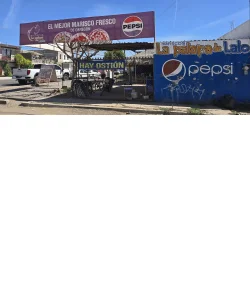 La Palapa de Lalo