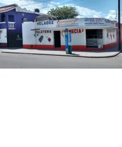 Paletería Venecia