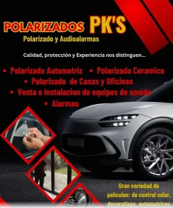Polarizados Pks