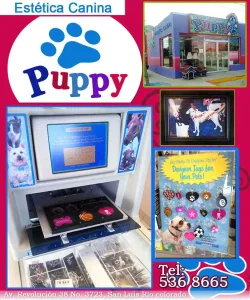 Puppy
