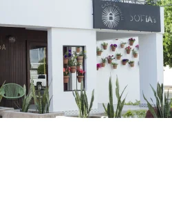 Sofía's Casa Brunch