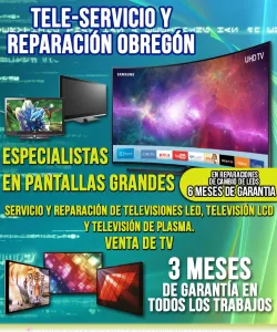 Tele Servicio Obregón