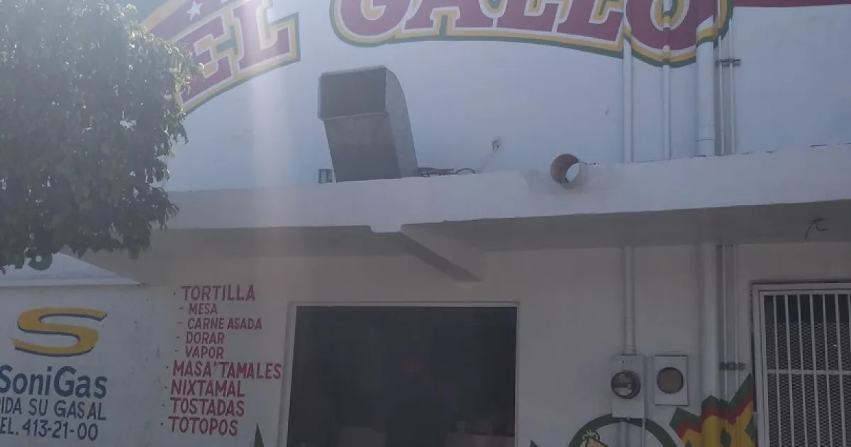 Tortillería el Gallo